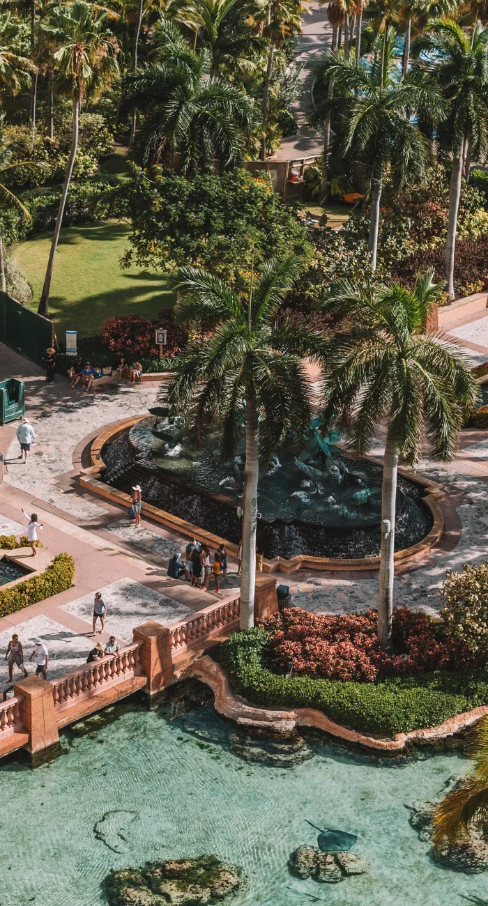 @newbettravel en instagram